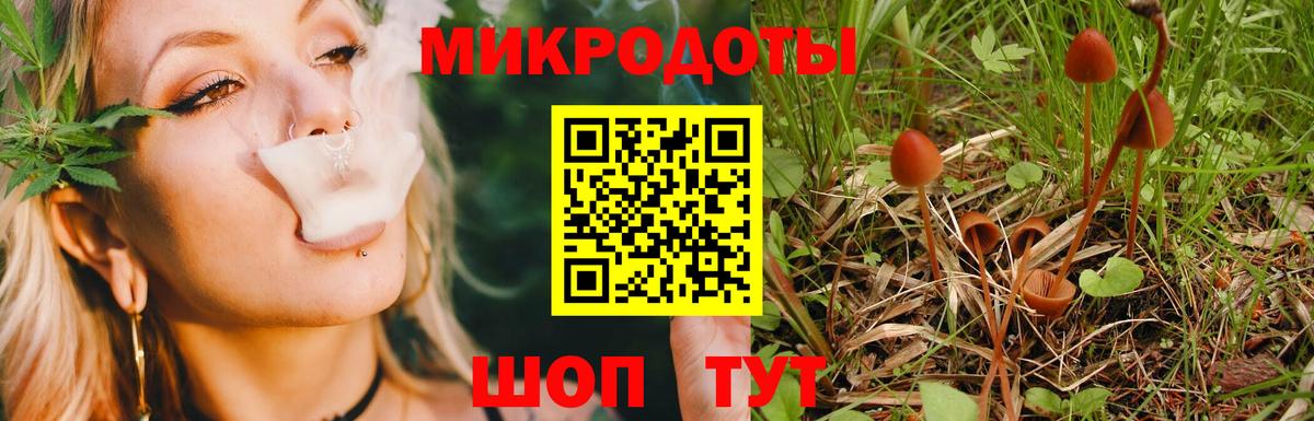 Аша  Псилоцибиновые грибы Psilocybine cubensis  Вход с VPN  Псилоцибиновые грибы мицелий 